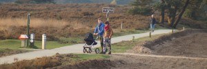een man en vrouw wandelen met een kinderwagen in de natuur