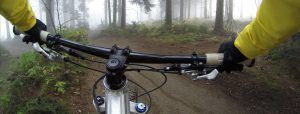 stuur van een mountainbike in het bos