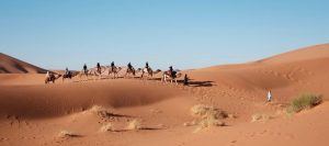 een karavaan kamelen in de woestijn