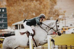 een ruiter springt met zijn paard over een hindernis tijdens een wedstrijd