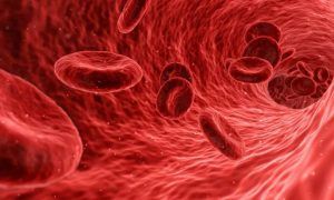 een illustratie van bloedcellen